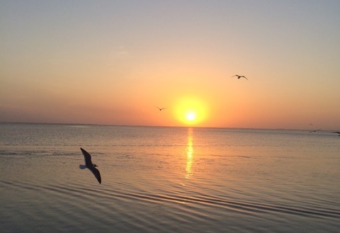 Beacon of Light on Water